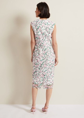 Phase Eight Diana Floral Lace Dress Multicolor Australia | NE4120968